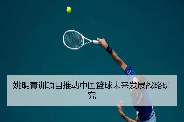 姚明青训项目推动中国篮球未来发展战略研究